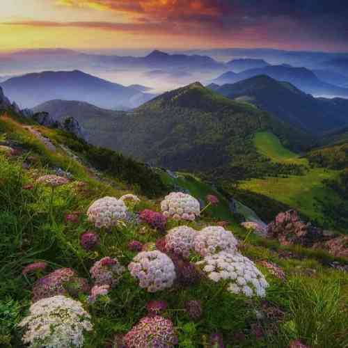 داوود روحانی بهار عمرش چه کوتاه بود خدا جون